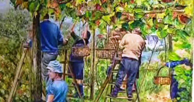 Exposição “A Cidade e as Serras”