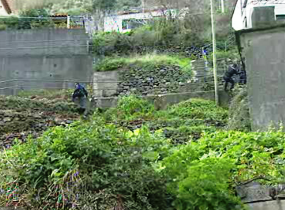 Tiroteio na Ribeira Brava