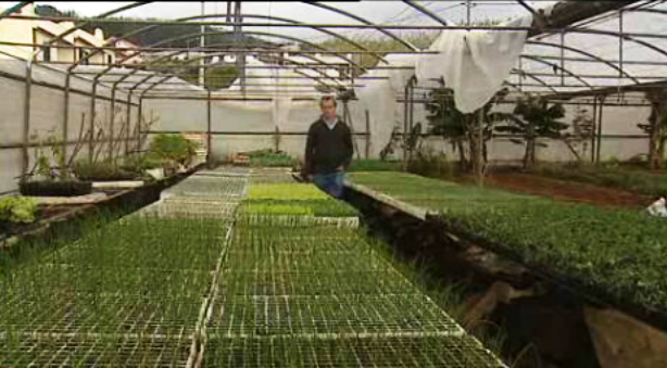 Prejuízos na agricultura