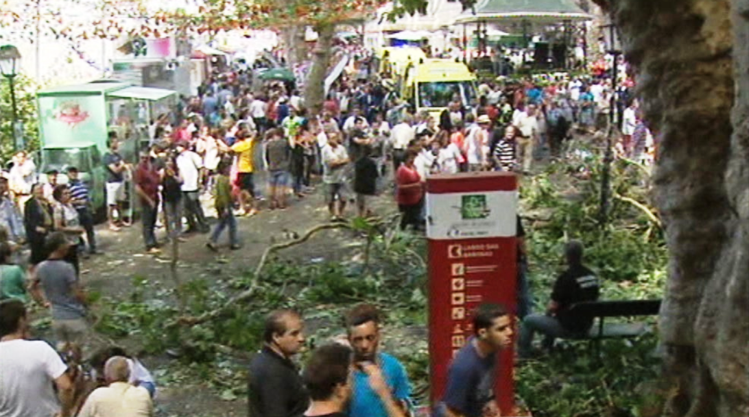 Peritagem ao carvalho do Monte