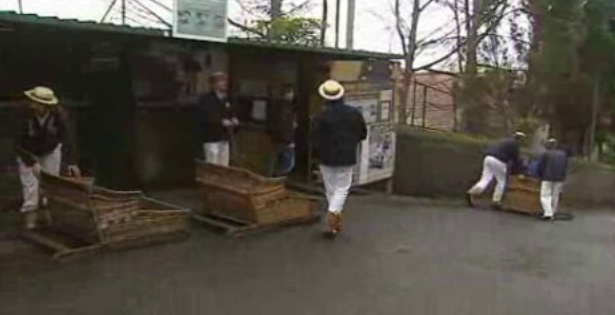 Inauguração da Associação dos Carreiros do Monte