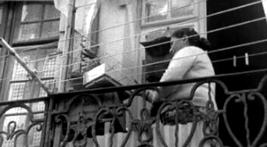 A Cidade e os Bichos