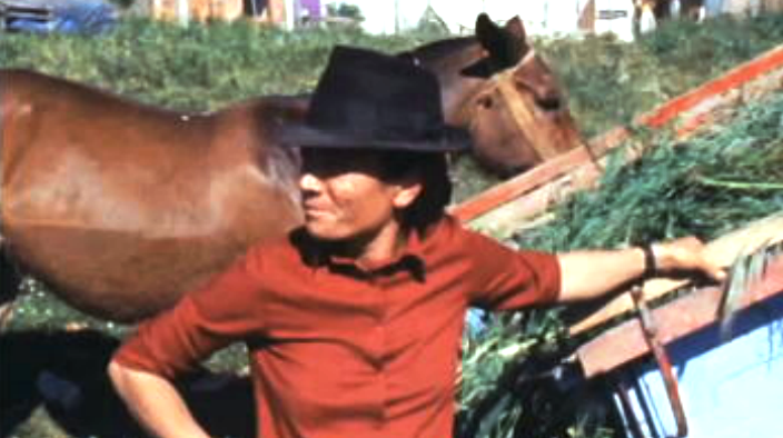 As Ocupações Tradicionais