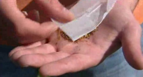 Drogas e dependências