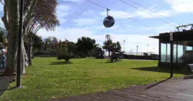 Reunião do conselho executivo do Funchal