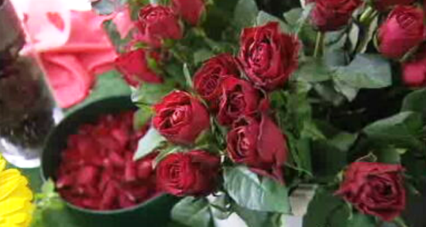 Dia de São Valentim