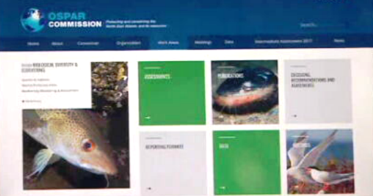 Proteção do Atlântico Nordeste