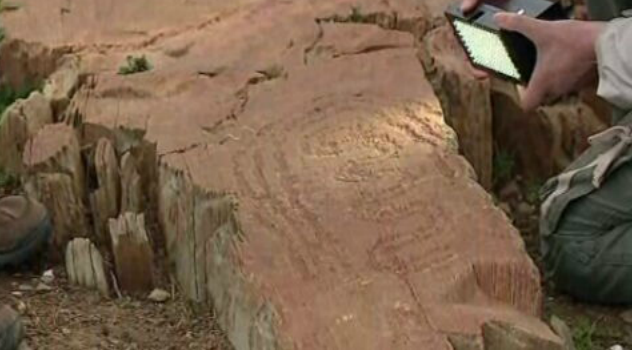 Gravuras rupestres no Alentejo