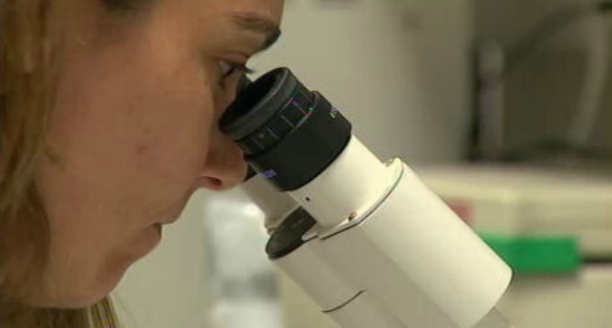 Conferência sobre políticas de Saúde