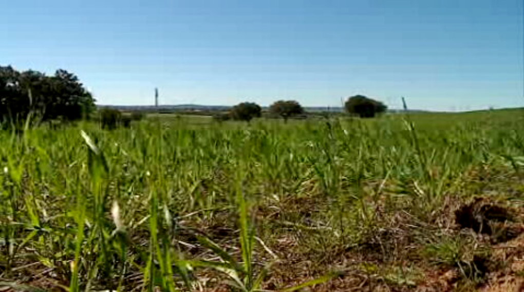 Seca em Portugal