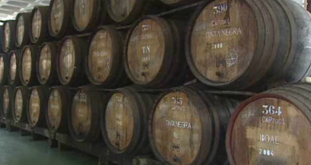 Produção de vinhos fortificados