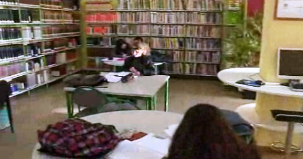 Biblioteca de Macedo de Cavaleiros II