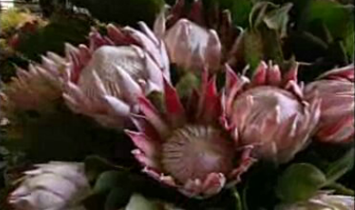 O Melhor a Descobrir em Portugal