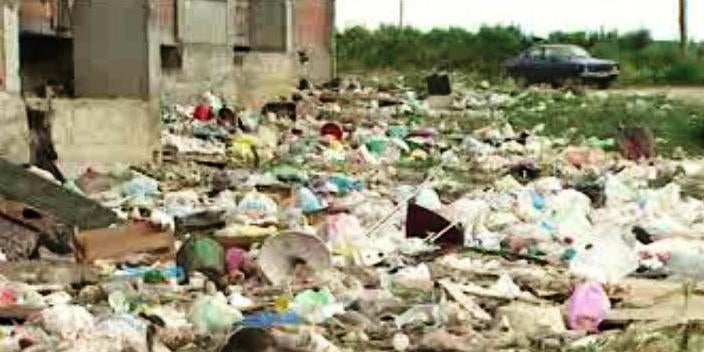 A Nova Peste Branca – Parte I