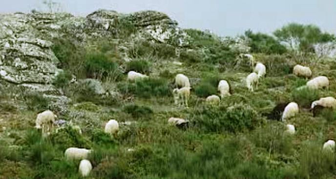 Contos do Lobo Mau – Parte I