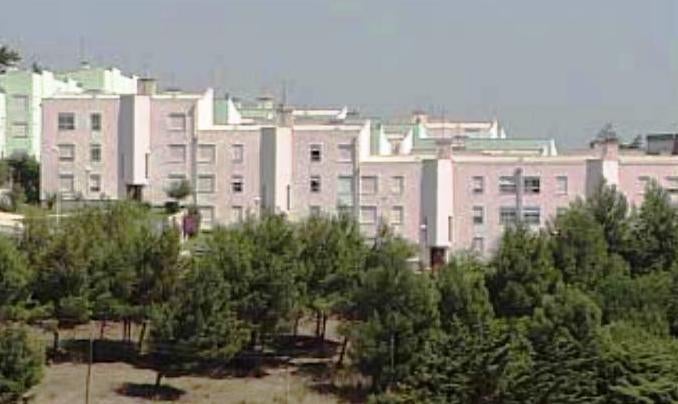 Sangue a Preto e Branco