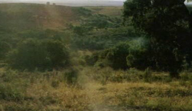 Agora e na Hora da Nossa Morte