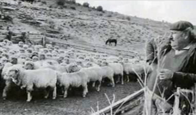 Últimas Notícias do Sul