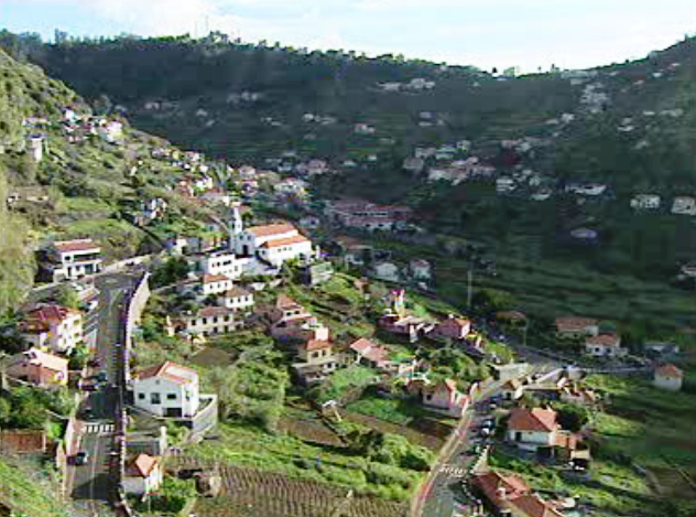 JPP defende preservação dos poios da Madeira