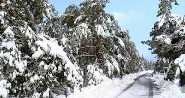 Neve na Serra da Estrela
