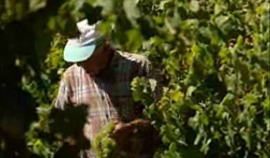 Vila Faia – Episódio 13