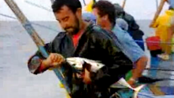 Pesca do atum nos Açores