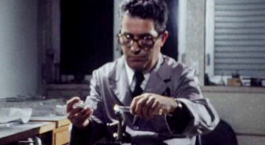 Ciências Físicas, Ciências Naturais