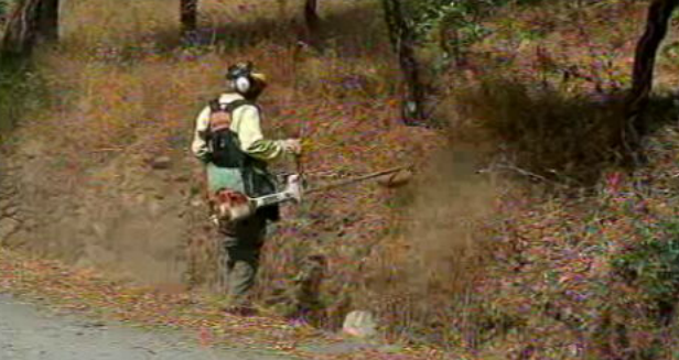 Email da Autoridade Tributária