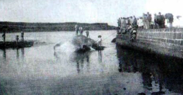 Homenagem aos baleeiros na Graciosa