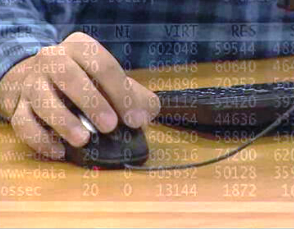 Detenção de suspeitos de burla informática