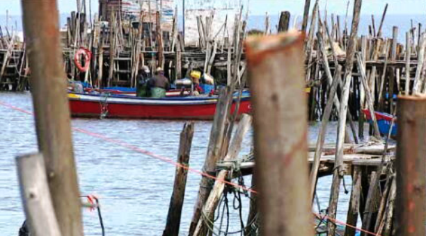 Cais Palafítico da Carrasqueira
