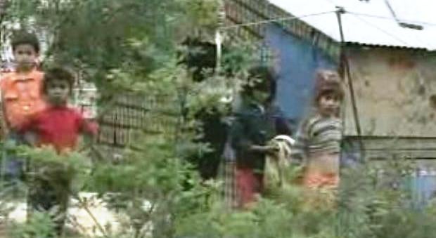 Com a Casa às Costas II