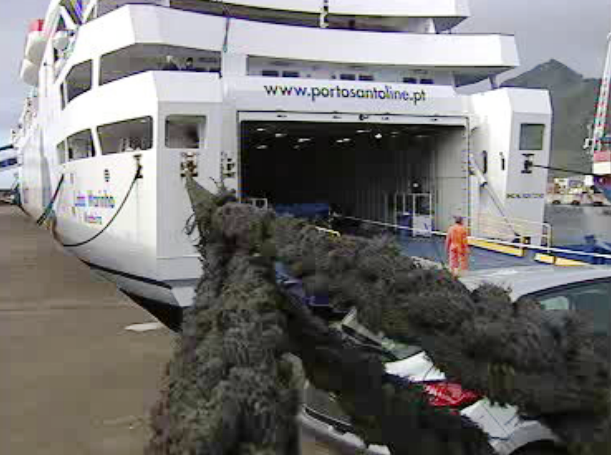 Reparação do ferry “Lobo Marinho”