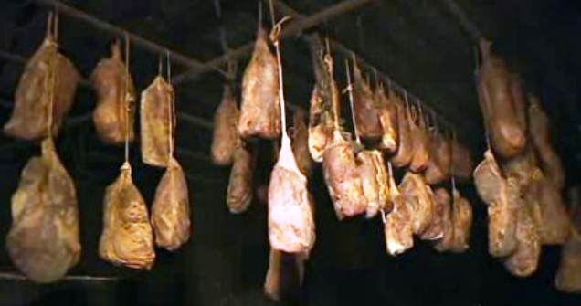 Professora e agricultora