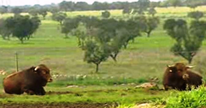 É Preciso Ter Estômago – Parte I