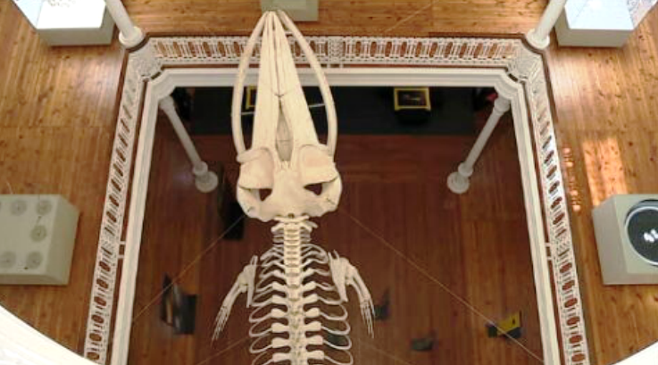 Galeria da Biodiversidade no Porto