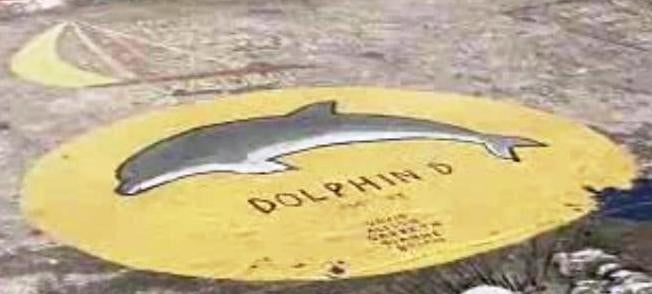 Os Golfinhos Também se Abatem