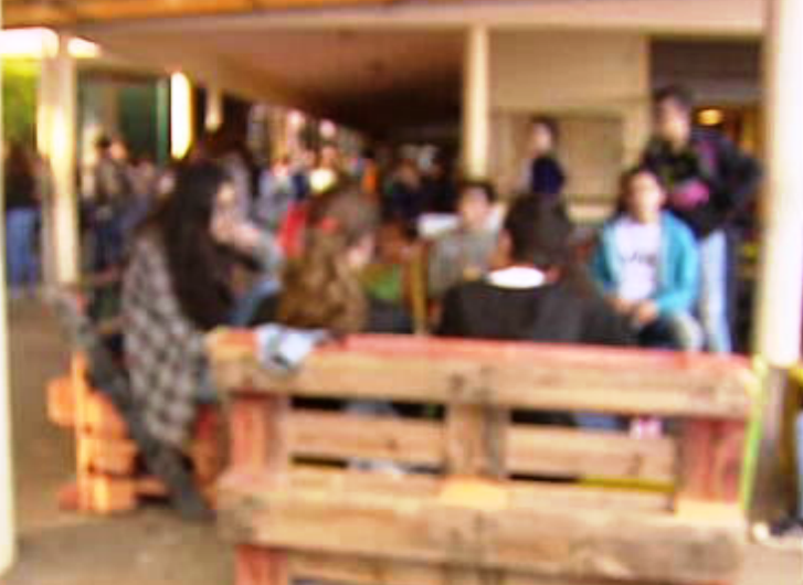 Indisciplina nas escolas da Madeira