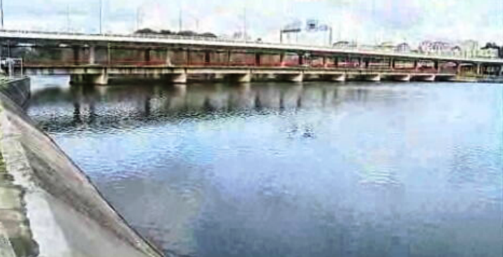 Época da lampreia II