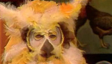 Os Contos do Mocho Sábio