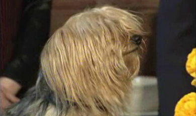 A Herança – Parte II