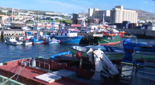 Faturação da pesca e do abate de carne na Madeira