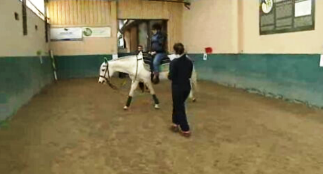 Projeto “Vivências Seniores”