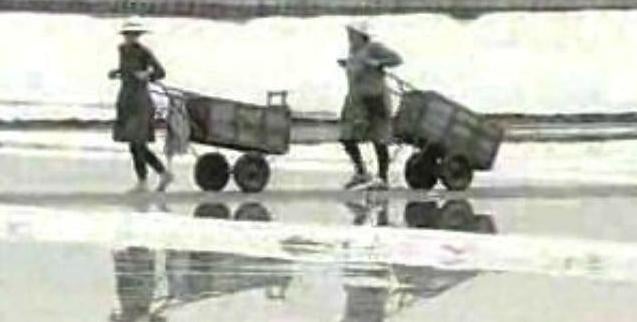 Revolta dos Salineiros