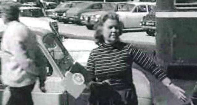 À Procura do Socialismo II