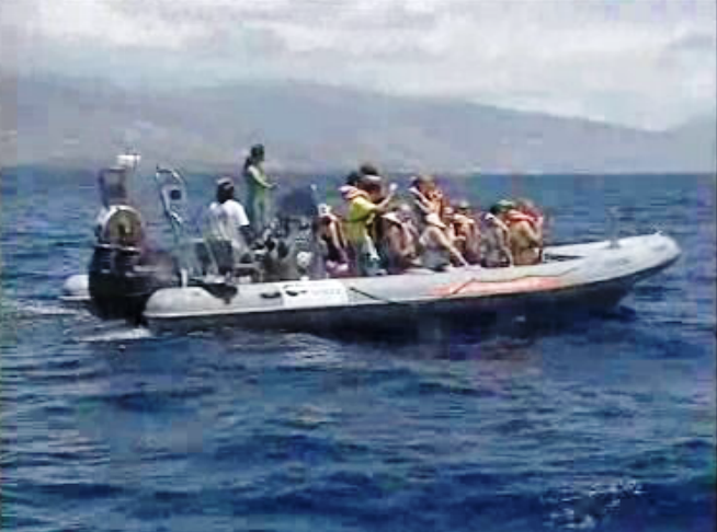 Animação turística na Madeira