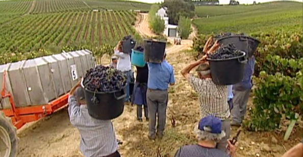 Vila Faia – Episódio 15