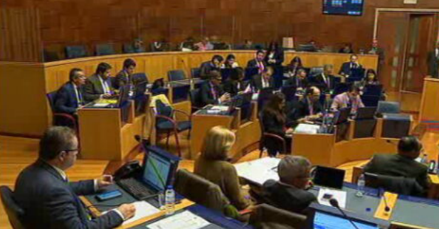 Parlamento aprova voto de protesto contra declarações de Ana Catarina Mendes