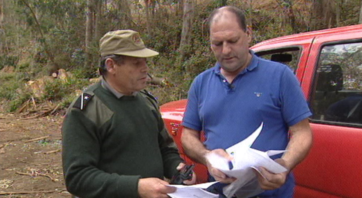 Novos Mestres florestais na Madeira
