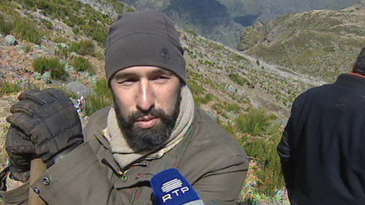 Reflorestação do Cabeço da Lenha